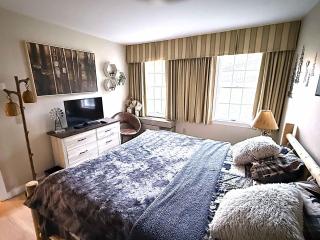 Mountain View Suite Sleeps 4 Ski OnOff Jiminy Peak - 7