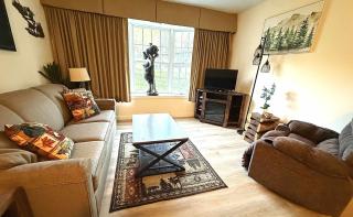 Mountain View Suite Sleeps 4 Ski OnOff Jiminy Peak - 5