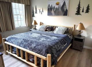 Mountain View Suite Sleeps 4 Ski OnOff Jiminy Peak - 0