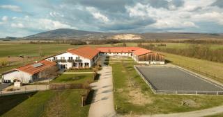 Apartment on horse-ranch out of stress - 8