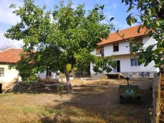 Tana House - 8