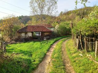Tana House - 7