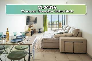 Le Souya, aptt T2 avec terrasse en résidence calme - 0