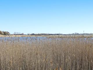 4 star holiday home in Martofte - 9