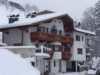 Apart Bradl - Hippach - 3