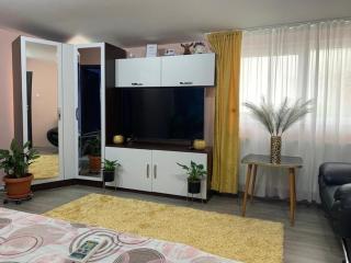 Apartament Garsoniera Melania - 3