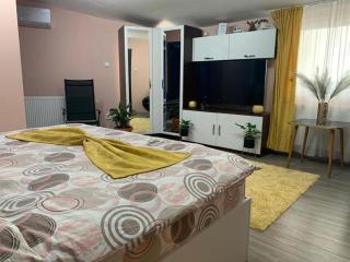 Apartament Garsoniera Melania - 1