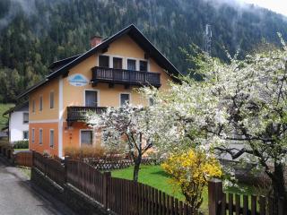 Säuleck Appartement inkl Skibus - Mallnitz - 0