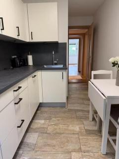 4-Bedroom Apartment - 10 Minutes from Oktoberfest - 4
