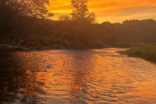 Trout Haus Near the Rush River - 7