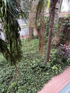 Departamento centrico - 1