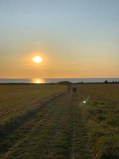 Glamping Mellem-Rummet Retreat 1 - Atmosfære - 1