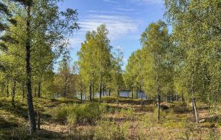 1 Bedroom Gorgeous Home In Fegen - 5