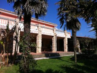 Agave Alghero - Fertilia - 6