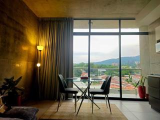 Brand New Modern Loft in the heart of Zona Rosa - 5