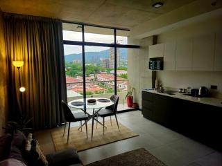 Brand New Modern Loft in the heart of Zona Rosa - 4