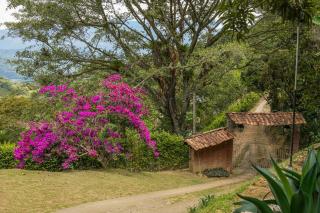 Finca Marly, descanso en la montaña para grupos grandes - San Jerónimo - 7