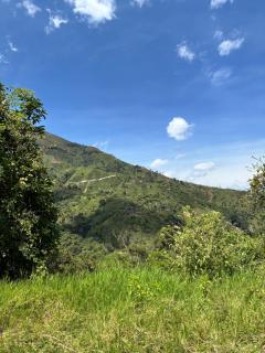 Finca Marly, descanso en la montaña para grupos grandes - San Jerónimo - 8