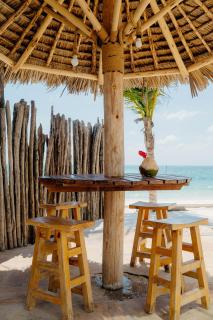 Villa Citrus Zanzibar - 4