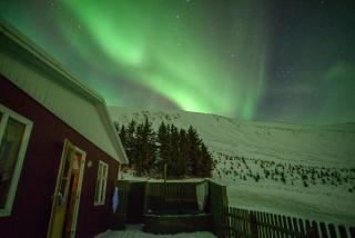 Erpsstadir Cottage - Sauðafell - 5