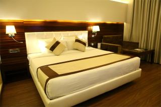 Viceroy Inn Dehradun - Dehradun - 3