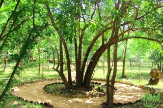 Yala Beddegama Eco - Kataragama - 1