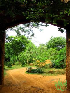 Yala Beddegama Eco - Kataragama - 4
