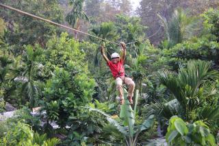 Jungle Book Resort - Collem - 4