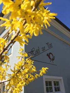 Hotel zur Post - Gumpoldskirchen - 7