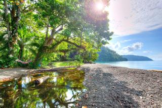 Playa Nicuesa Rainforest Eco Sanctuary - Golfito - 9