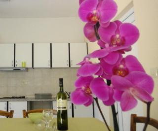 House Riviera - Mošćenička Draga - 7