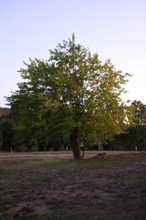 Ardeche - Gites Objectif Evasion - Montréal - 6