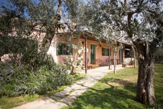 Signor Cesare Agrobistrot B&B - 1