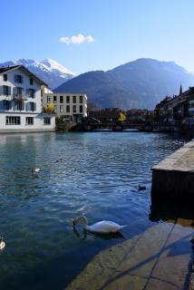 The River Holiday Apartment - Interlaken - 1