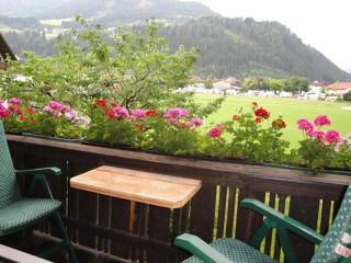 Gästehaus Brindlinger - Zell am Ziller - 2