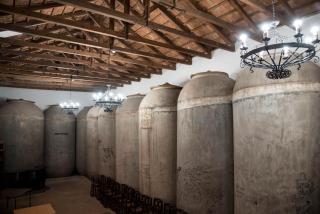 Hotel Rural El Lagar - La Solana - 4