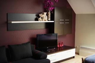 Palanga Apartments - Studio-1 - 8