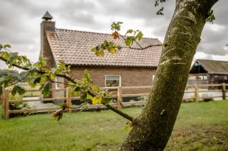 Het kleine Landgoed - Haarle - 8