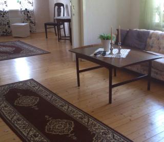 Manes Apartment - Undenäs - 3