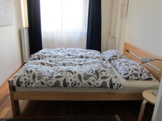 Vila Flori - Koper - 8