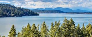 Paradise Regained - 4