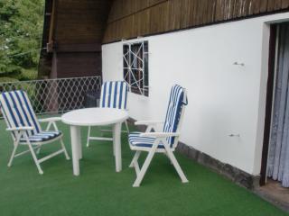country house in romantic and forest region - Jindřichovice - 9