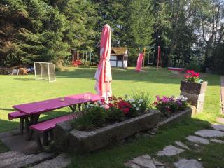 Chalet in Ore Mountains near Ski Slopes - Jindřichovice - 4