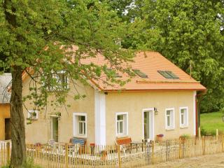 renovated house with stunning of Bohemian Forest - Milíře - 8