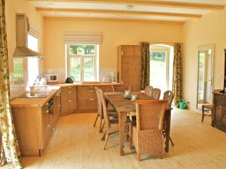 renovated house with stunning of Bohemian Forest - Milíře - 3
