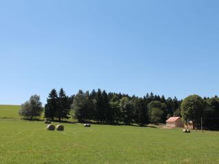 renovated house with stunning of Bohemian Forest - Milíře - 7