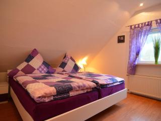 Flat in Olsberg near the ski area - Elpe - 5