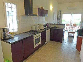Beautiful house with private pool and large garden - Narbonne - 1