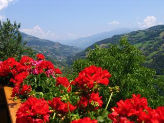 Planatscherhof - Barbiano - 2