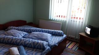 Casa Andreea-Maria - Vartop - 4